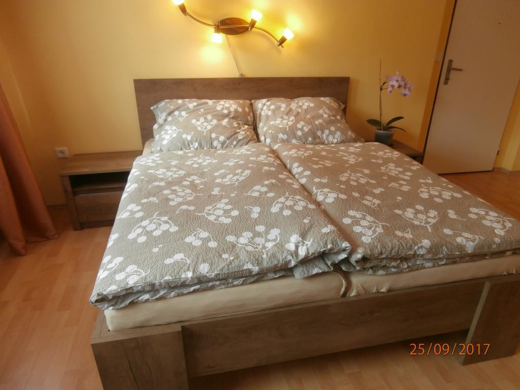 Apartman Aya Janov nad Nisou Ngoại thất bức ảnh
